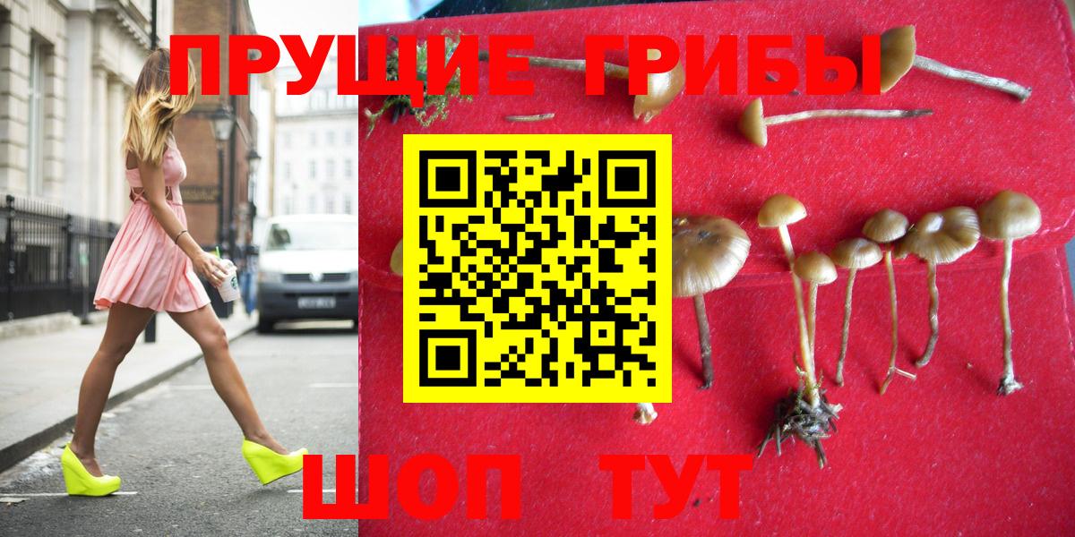Усть-Илимск  Галлюциногенные грибы прущие грибы  Вход с VPN 
