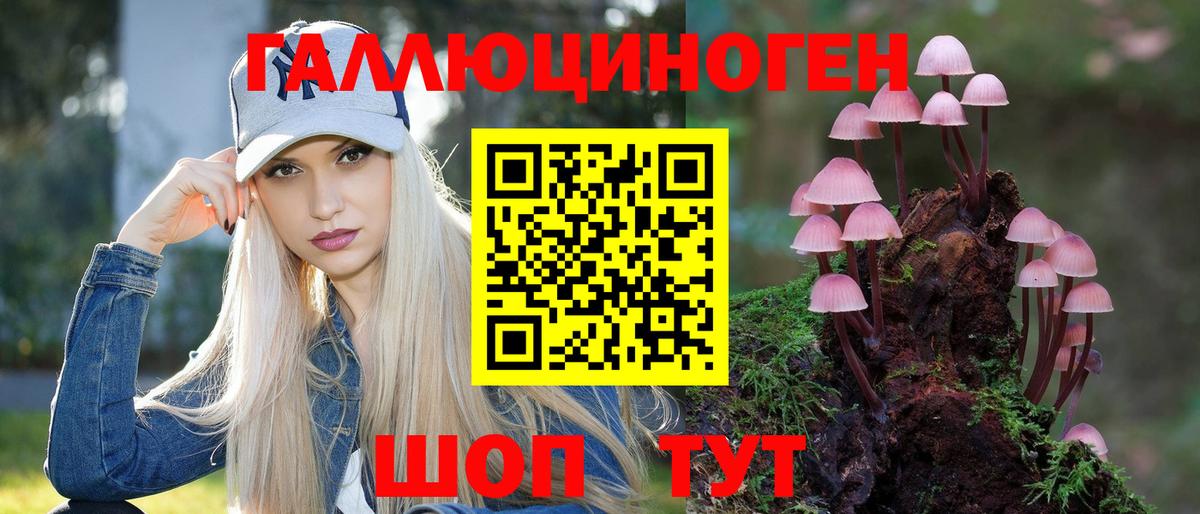 Галлюциногенные грибы Psilocybe Усть-Илимск